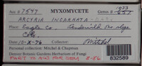 Image Associated With the Occurence